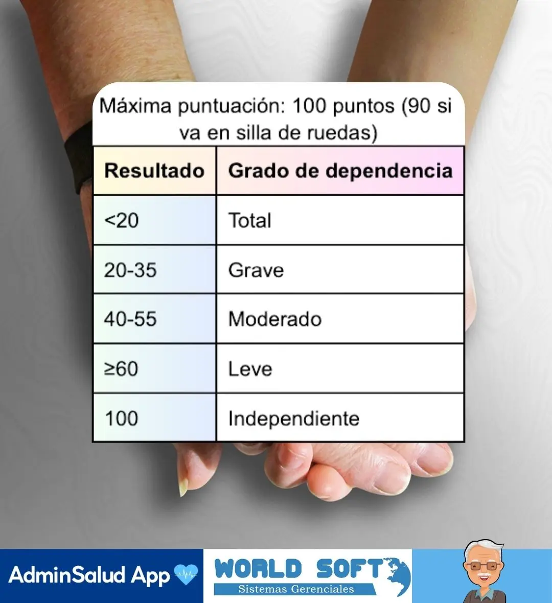 escalas de valoración en enfermería, puntaje de la escala de barthel